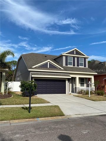 11333 QUIET FOREST DRIVE, Tampa, FL 33635