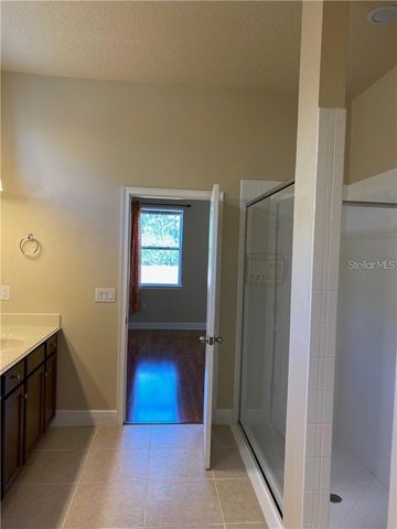 11333 QUIET FOREST DRIVE, Tampa, FL 33635