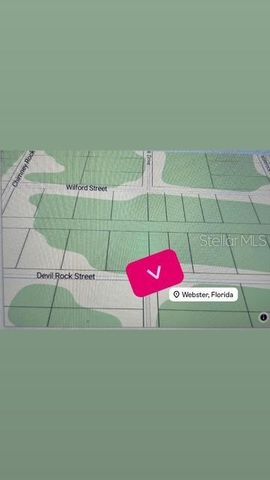 GRINDSTONE DRIVE, Webster, FL 33597