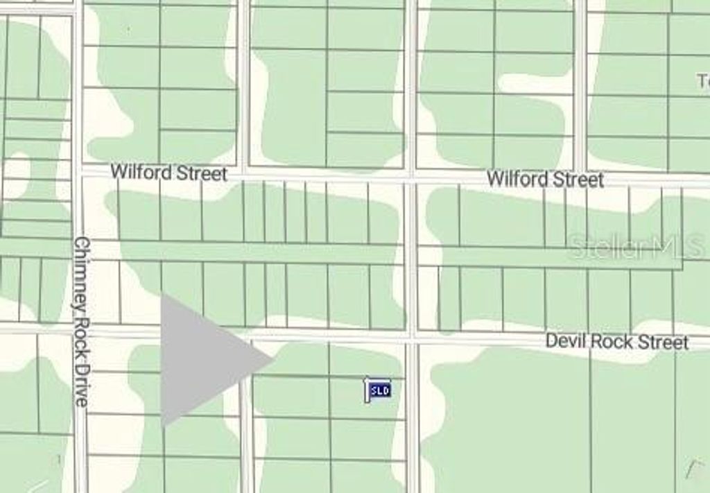 GRINDSTONE DRIVE, Webster, FL 33597
