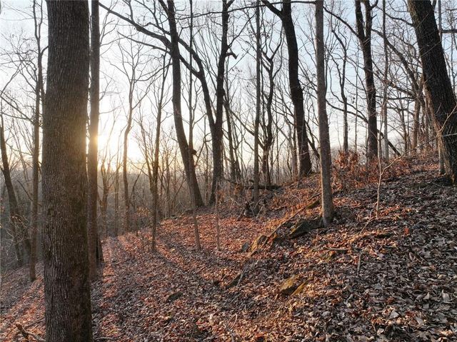 Lot 2 Mount Mincie Road, Murrayville, GA 30564