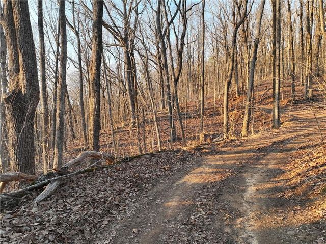 Lot 2 Mount Mincie Road, Murrayville, GA 30564