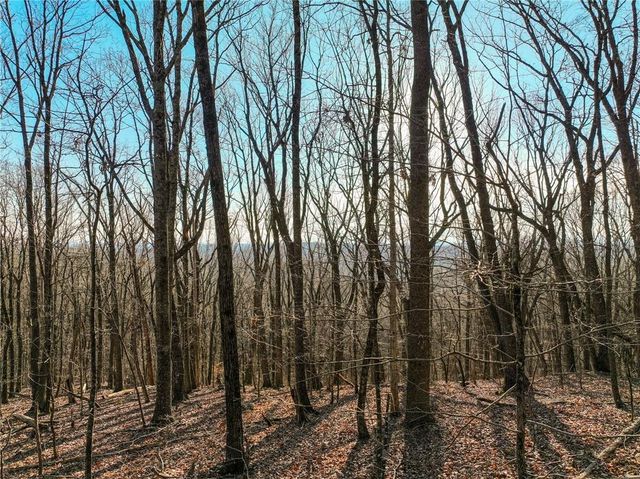 Lot 2 Mount Mincie Road, Murrayville, GA 30564