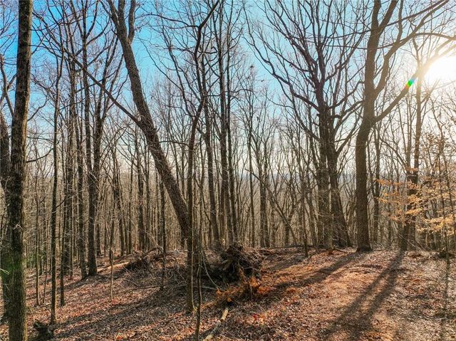 Lot 2 Mount Mincie Road, Murrayville, GA 30564