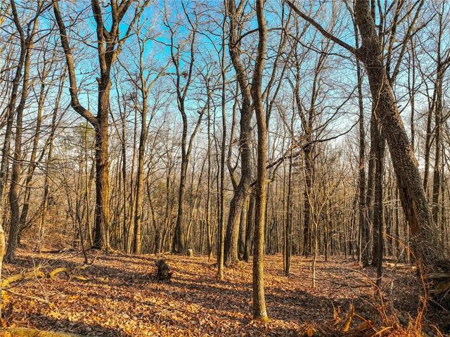 Lot 2 Mount Mincie Road, Murrayville, GA 30564