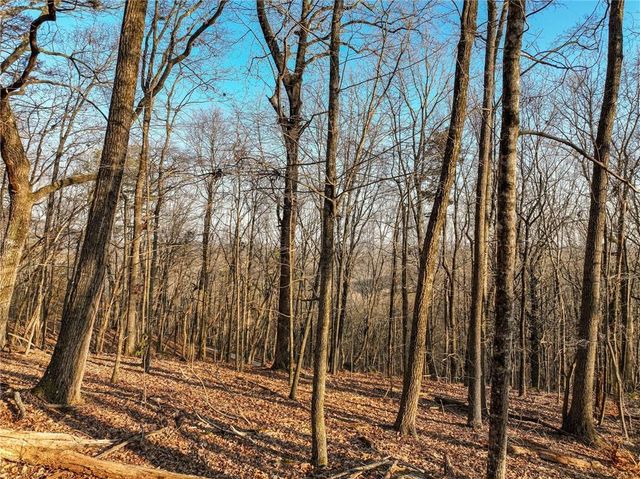 Lot 2 Mount Mincie Road, Murrayville, GA 30564