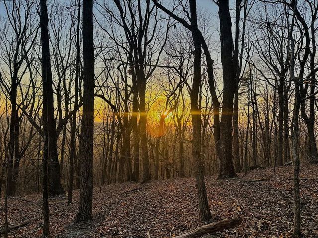 Lot 2 Mount Mincie Road, Murrayville, GA 30564