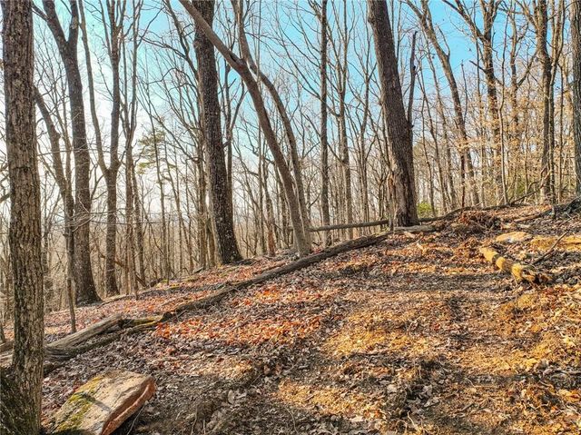 Lot 2 Mount Mincie Road, Murrayville, GA 30564