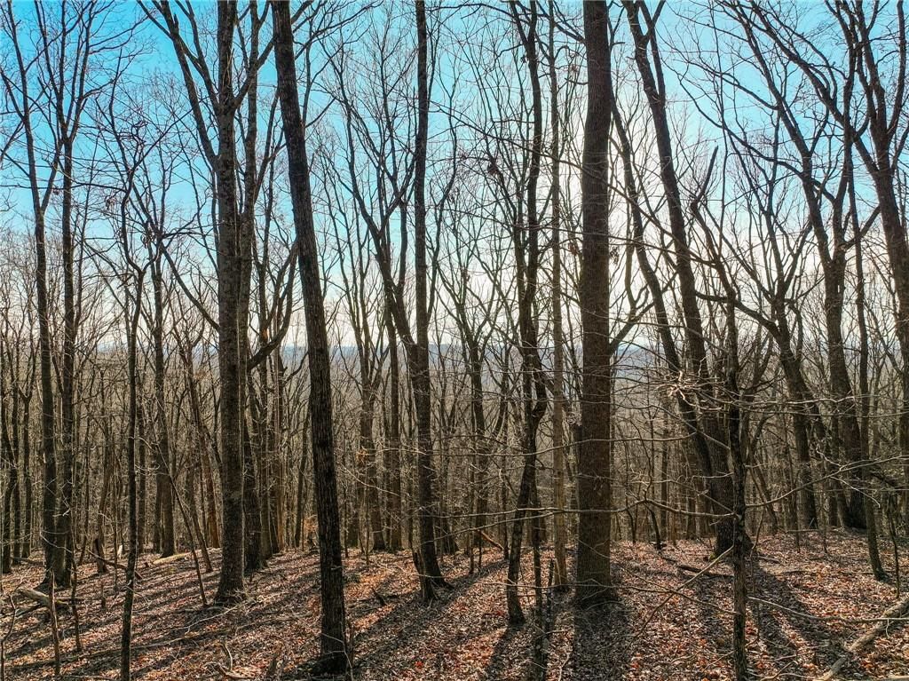 Image 13 of property listing at Lot 2 Mount Mincie Road, Murrayville, GA 30564
