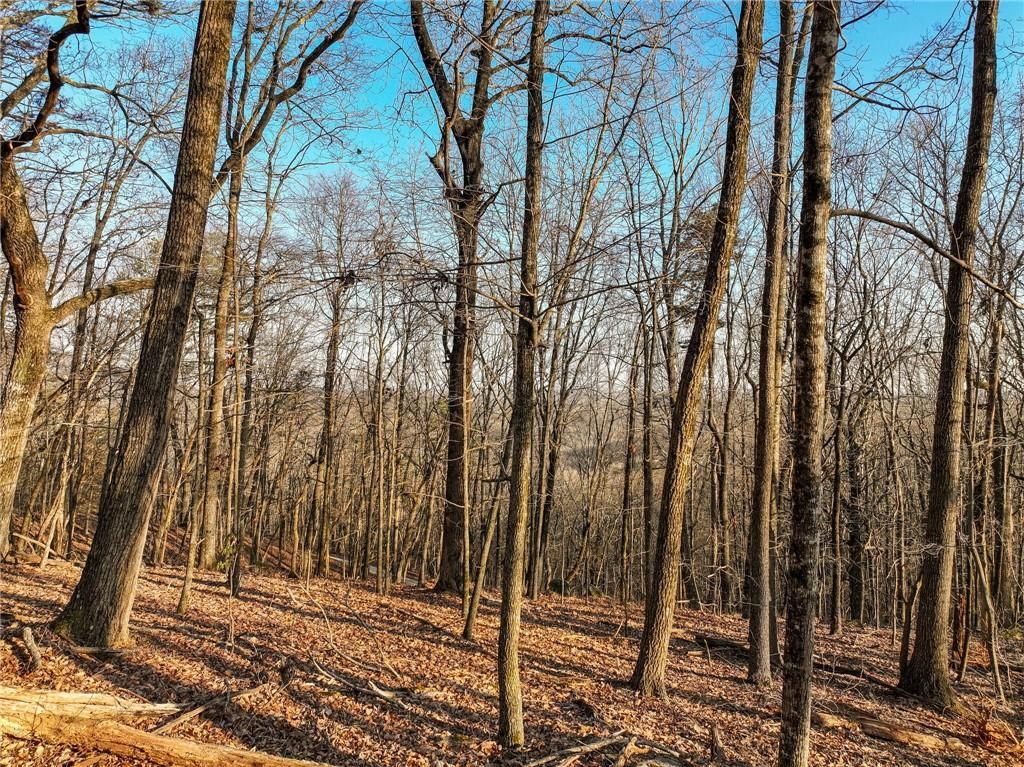 Image 16 of property listing at Lot 2 Mount Mincie Road, Murrayville, GA 30564