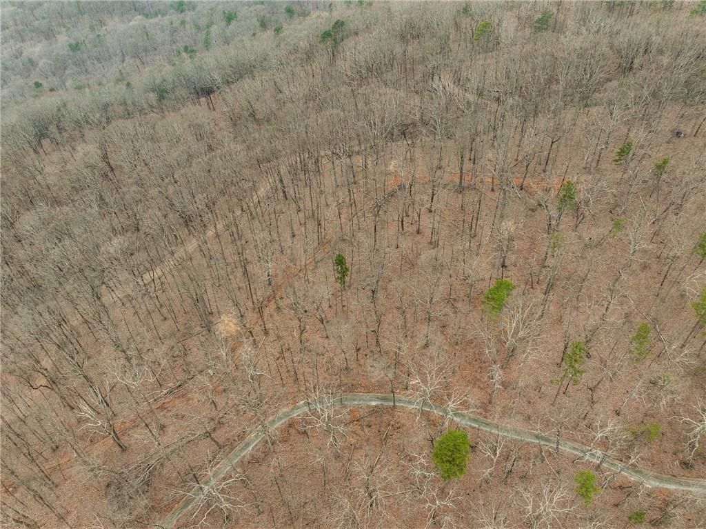 Image 20 of property listing at Lot 2 Mount Mincie Road, Murrayville, GA 30564