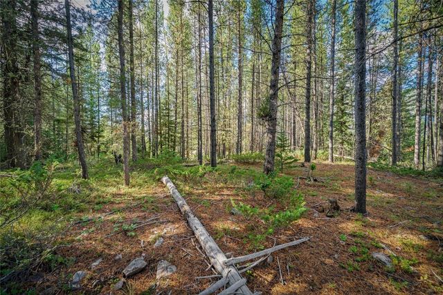 NHN Skywood Road, Big Sky, MT 59716