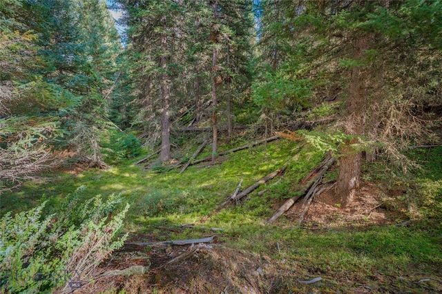 NHN Skywood Road, Big Sky, MT 59716