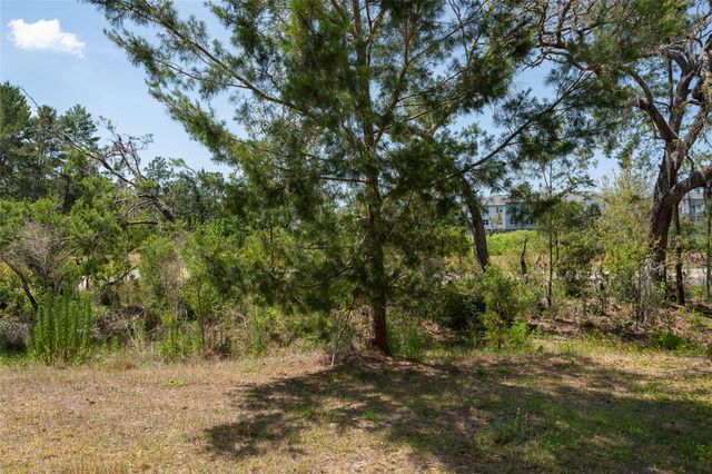 11704 CASTINE STREET, New Port Richey, FL 34654