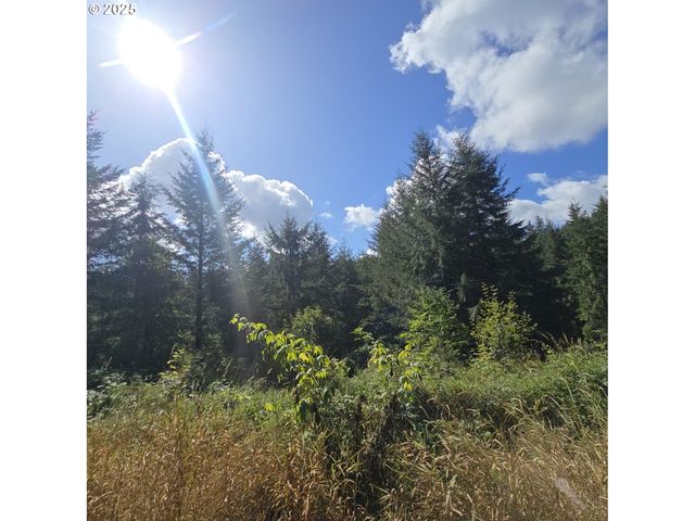 Beaver Springs, Rainier, OR 97048