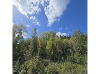 Beaver Springs, Rainier, OR 97048