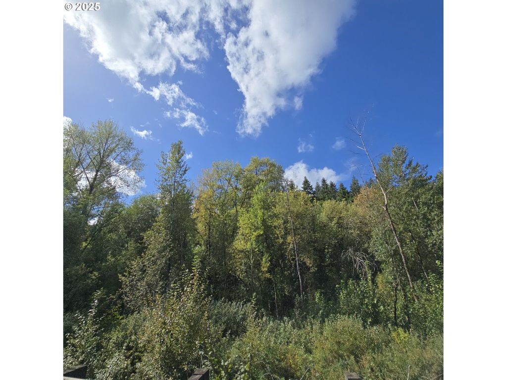 Beaver Springs, Rainier, OR 97048