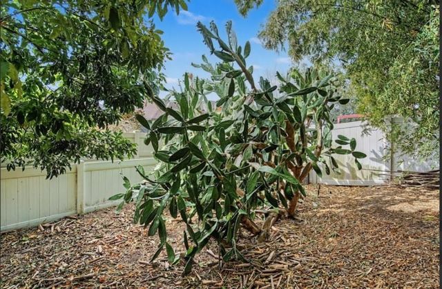 10813 ROCKLEDGE VIEW DRIVE, Riverview, FL 33579