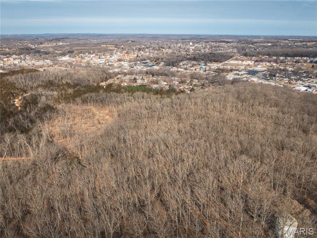 3 Mill Street, Potosi, MO 63664