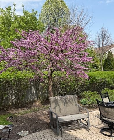 202 Mill Street, Batavia, IL 60510