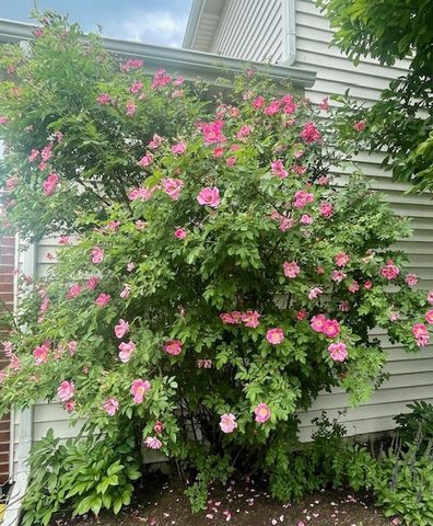 202 Mill Street, Batavia, IL 60510