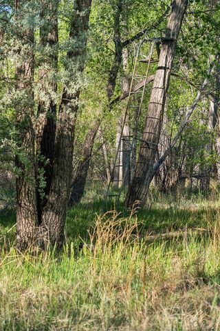 16990 Old Pueblo Road, Fountain, CO 80817