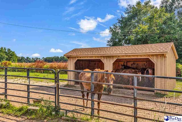 1907 Lide Springs Road, Darlington, SC 29540