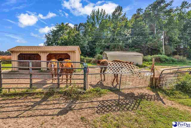 1907 Lide Springs Road, Darlington, SC 29540