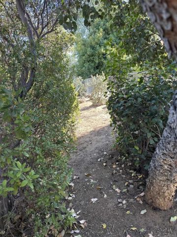 15326 Moonglow Dr, Ramona, CA 92065