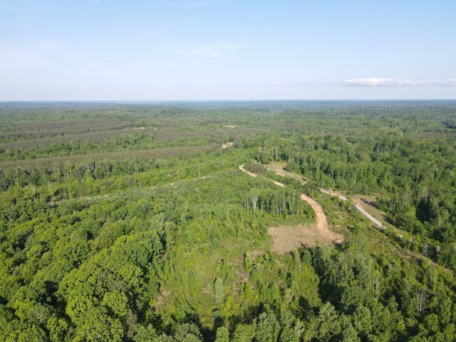 303 Hurricane Creek, Stewart, TN 37175