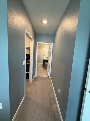 33318 HAMILTON HILL LN, Wesley Chapel, FL 33545