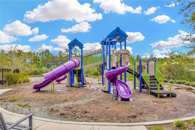 33318 HAMILTON HILL LN, Wesley Chapel, FL 33545