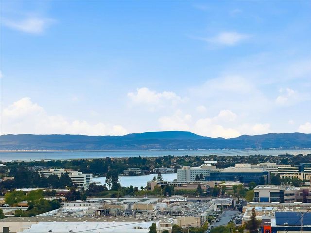 1609 Molitor Road, Belmont, CA 94002