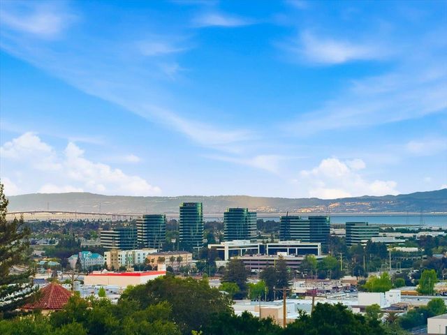 1609 Molitor Road, Belmont, CA 94002