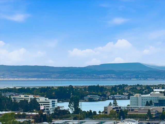 1609 Molitor Road, Belmont, CA 94002