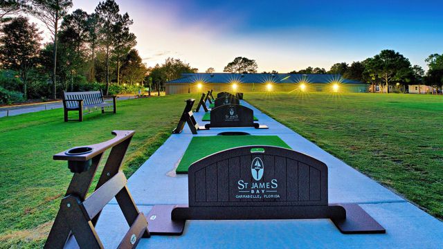 394 ROYAL TERN Way, Carrabelle, FL 32322