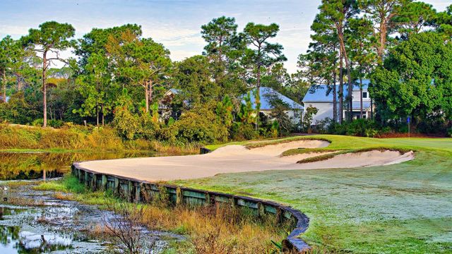 394 ROYAL TERN Way, Carrabelle, FL 32322