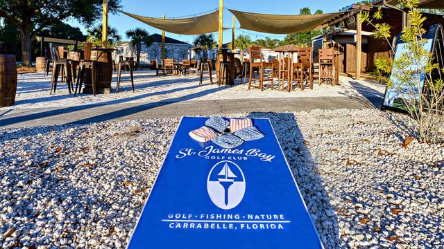 394 ROYAL TERN Way, Carrabelle, FL 32322