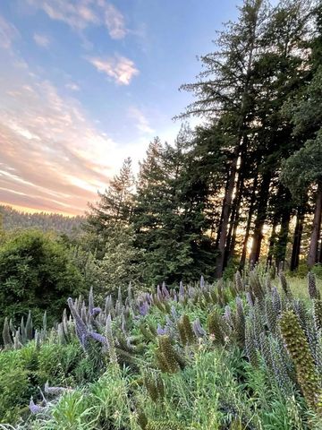 132 Pax Place Court, Aptos, CA 95003