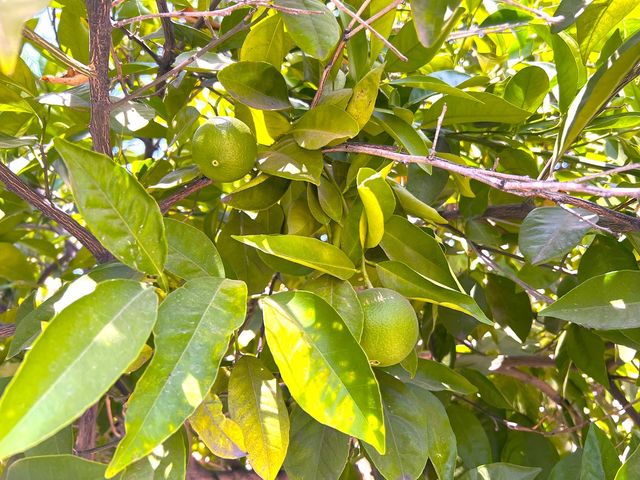 3223 E Madison Avenue, Fresno, CA 93702