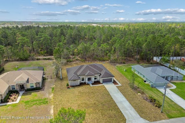 11248 Flock Avenue, Weeki Wachee, FL 34613