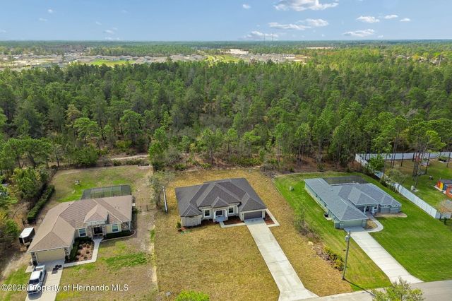 11248 Flock Avenue, Weeki Wachee, FL 34613