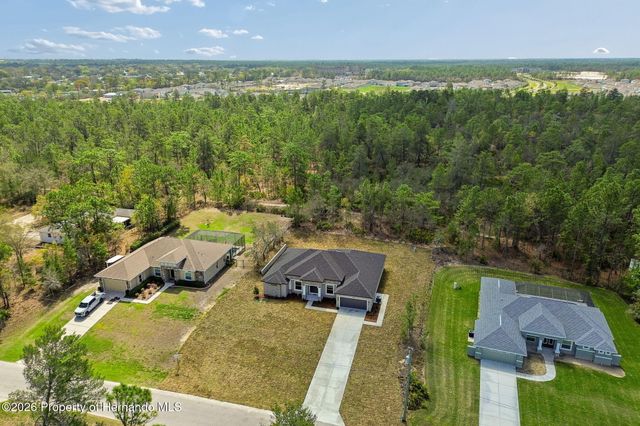 11248 Flock Avenue, Weeki Wachee, FL 34613