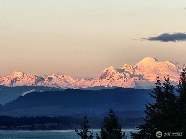 1409 Village Heights Place, Camano Island, WA 98282