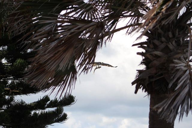 2709 CASEY KEY ROAD, Nokomis, FL 34275