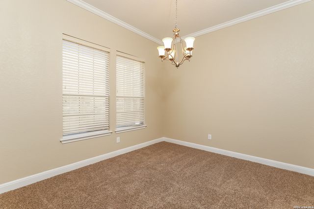 7910 William Grove, San Antonio, TX 78254