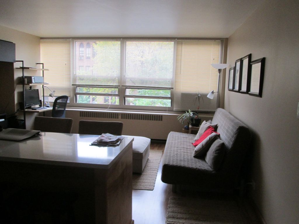 3950 N LAKE SHORE Drive 204, Chicago, IL 60613 — photo 5