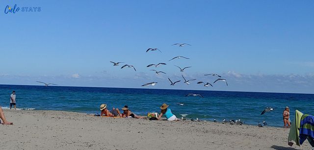 777 N Ocean Drive N507, Hollywood, FL 33019