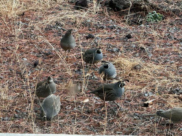 53530 Bridge Drive, La Pine, OR 97739