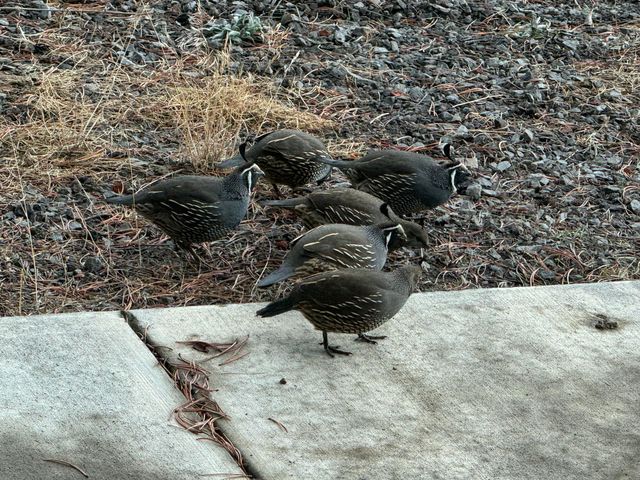 53530 Bridge Drive, La Pine, OR 97739